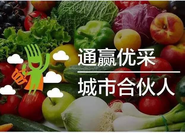 通赢优采全国各地城市合伙人活动大集锦第二季 通赢优采全国各地城市合伙人活动大集锦第二季